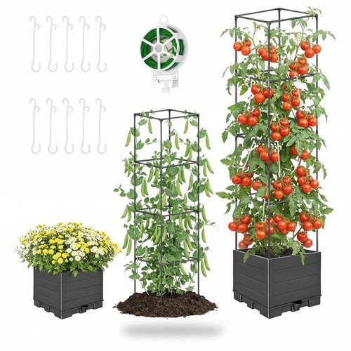 Self watering tomato - self,