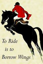 361051 Horse Dressage Jumping