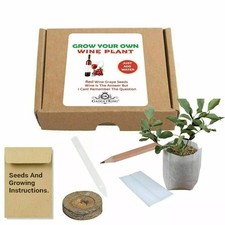 WINE PLANT GIFT FOR MUM SISTER FRIEND GIRLFRIEND WOMENS LADIES SECRET SANTA IDE