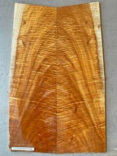 Queensland Maple Electric