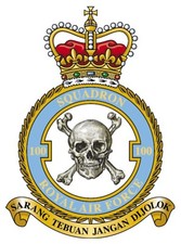 RAF 100 SQUADRON BADGE ON