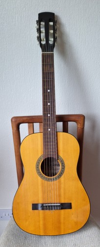 Vintage musima acoustic - vintage, 6