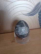 Fossil Orthoceras Egg Shaped Natural Gemstone