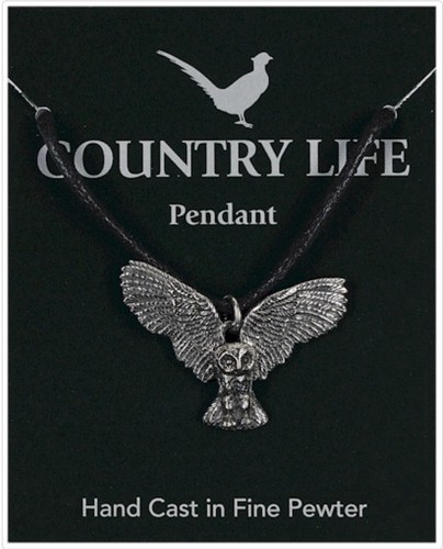 Flying barn owl - flying, silver