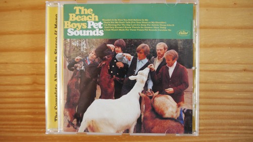 The beach boys - boys, pet