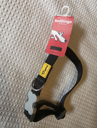 Red dingo adjustable standard - dingo,