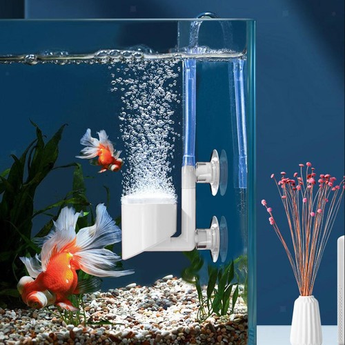 Aquarium air stone - aquarium,