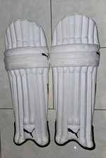 PUMA Evo 6 Cricket Batting