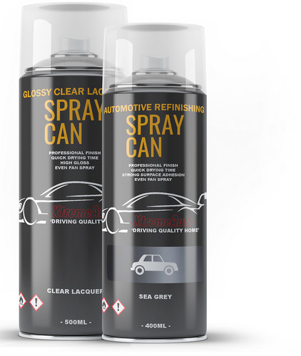 Aerosol spray paint kit for - spray,