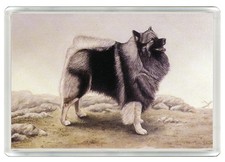 KEESHOND DOG FRIDGE MAGNET