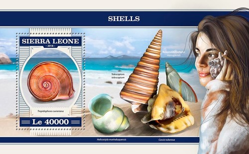 Shells mnh stamps 2018 sierra - shells,