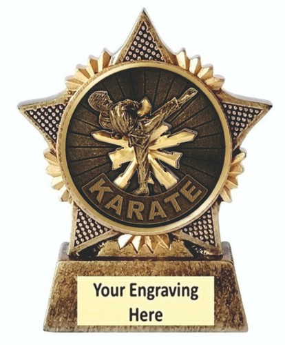 Karate trophy star award 90mm - karate,