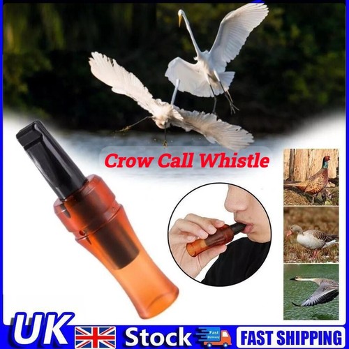 Outdoor crow rook call - crow,