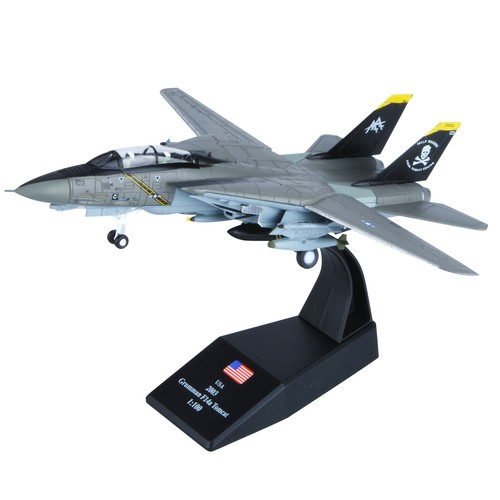 100 scale tomcat us - 1:100,