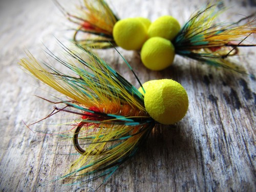 Leggy golden olive bumble - leggy,