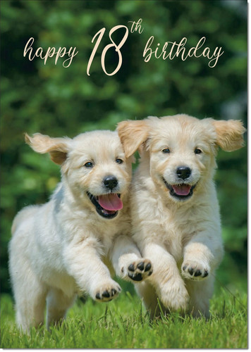 Doodlecards 18th birthday card - doodlecards,