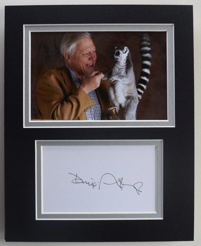 David attenborough signed - david,