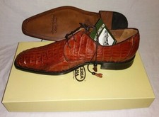 Genuine Crocodile Hornback