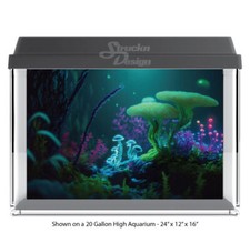 Deep Sea Floor Colorful