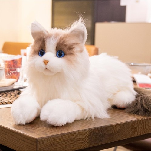 Chongker interactive companion - chongker,