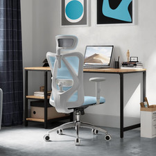 M18 Ergonomic Office Chair