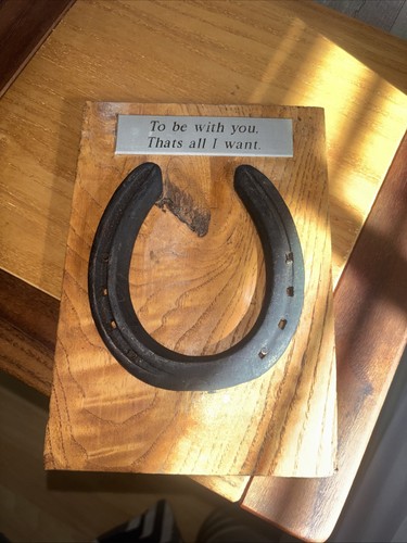 Genuine horse shoe with plaque - genuine,