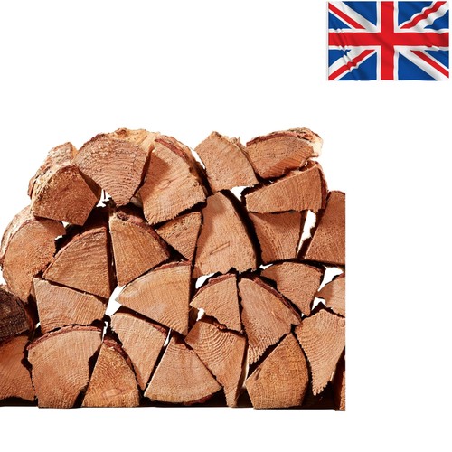 Kiln dried maple - maple, firewood
