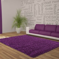  Living Room Large Shaggy Rugs