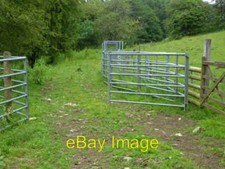 Photo 6x4 Cattle crush -