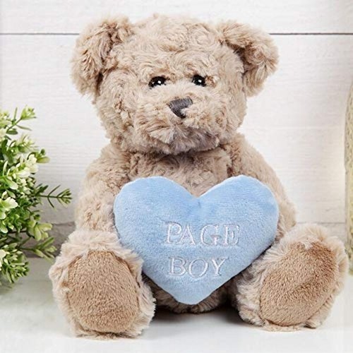 Page boy teddy bear - bear, blue