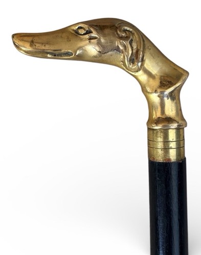 Greyhound whippet dog head - greyhound, or
