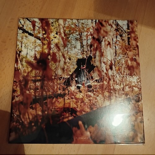 Billy woods golliwog - golliwog, (2lp)