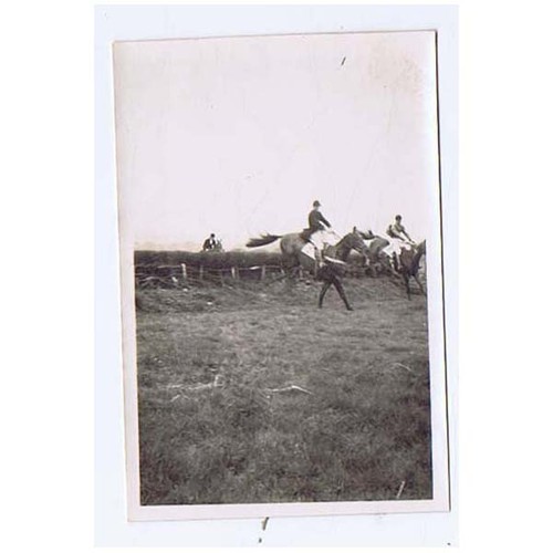 Liss point horse - point,