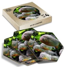 4 x Hexagon Coasters - Aquarium Piranha Fish #13277