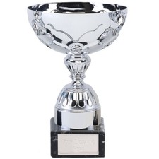 SILVER CUPS 2 SIZES  FREE