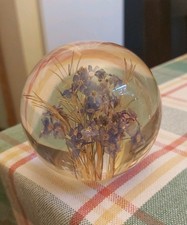 Hafod Grange Welsh Paperweight, Dried forget me knots Flowers,vintage,1994 wales