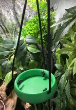 Frog /Gecko/ Reptile Swing