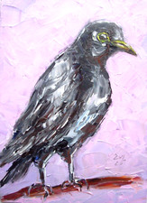 Blackbird Original Oil