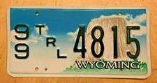WYOMING BUCKING BRONCO RENTAL