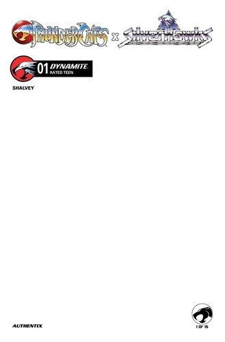 Thundercats silverhawks 1 - x,