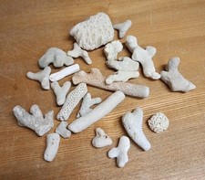 Collection Of Old Beach Worn Sea Coral Sponges Fossils Urchins - 550g As Photos 