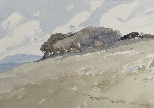 Original watercolour copse - original, 'copse