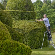 Hendon standard tripod ladder - hendon,