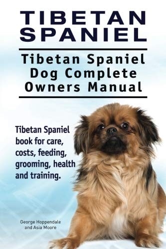 Tibetan spaniel - tibetan, spaniel: