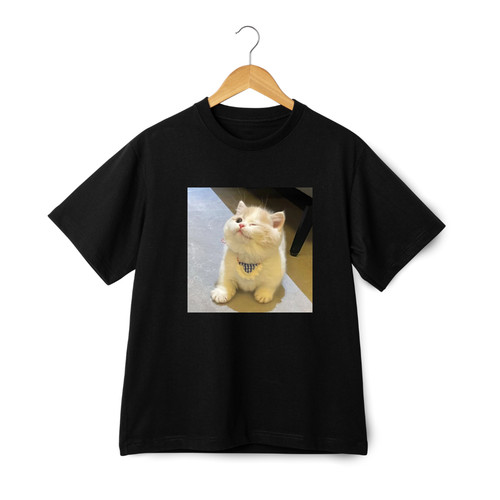 Charming cat dressing posing - cat,