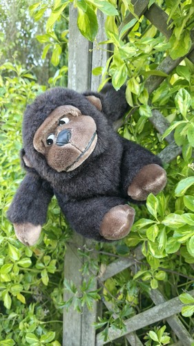 Vintage side eyed - vintage, gorilla