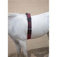 Hy Equestrian Training Roller