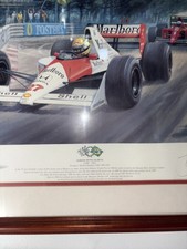 Ayrton Senna - Tony Smith