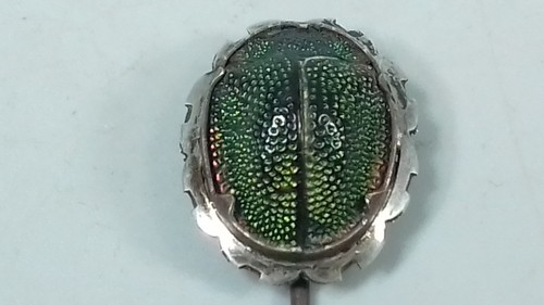 Antique real scarab beetle - real,