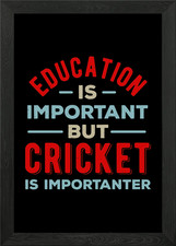 Funny Cricket Quote Framed